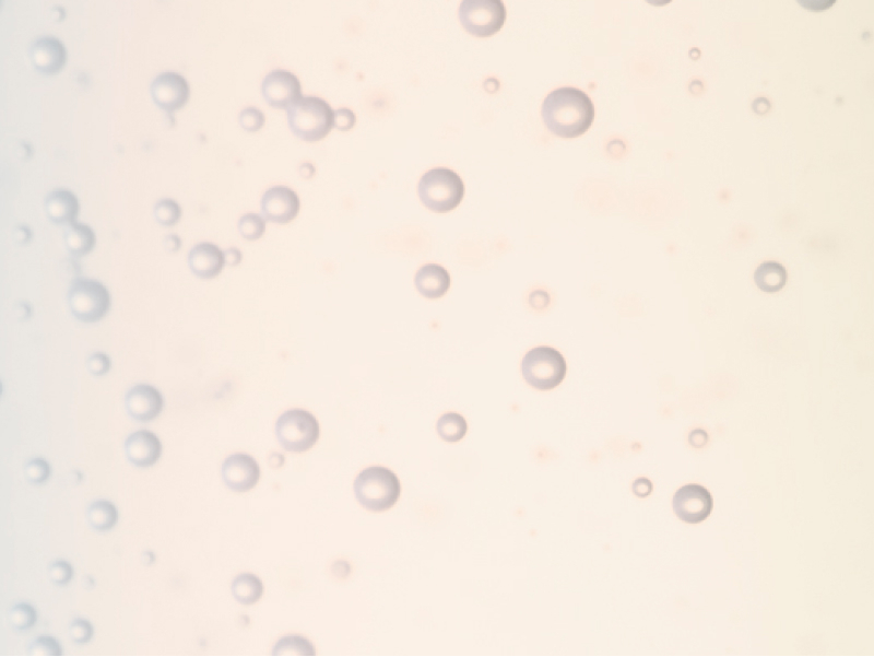 MEM エッセンスローション