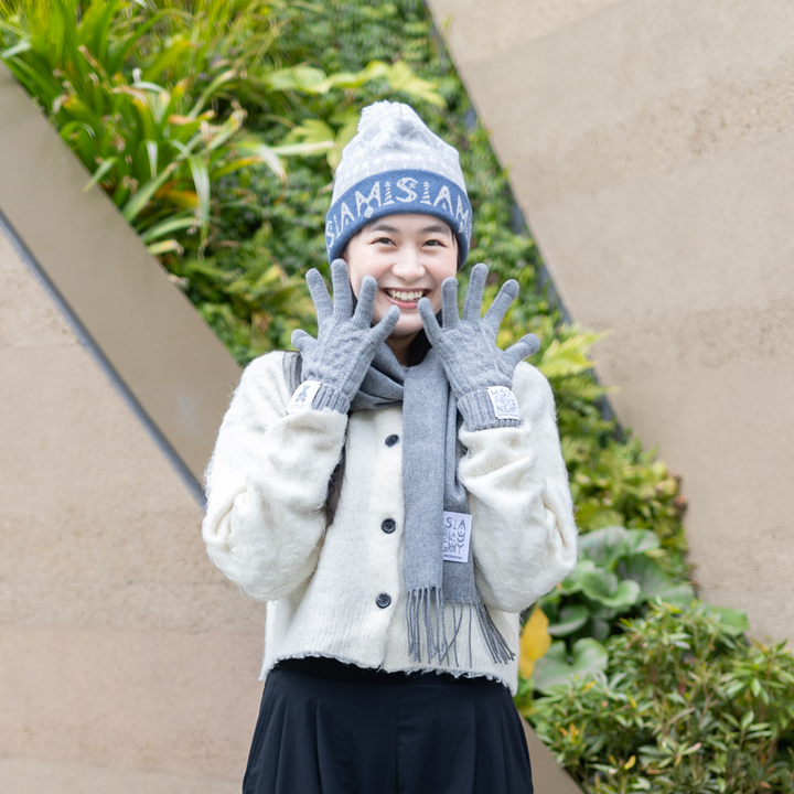 MISIA HOLY NIGHT 手袋（グレー）