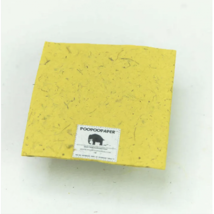 POOPOOPAPER グリーティングカード 