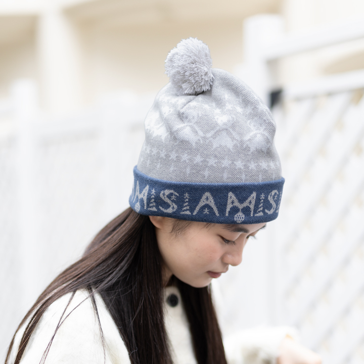 MISIA HOLY NIGHT ニット帽（グレー）　