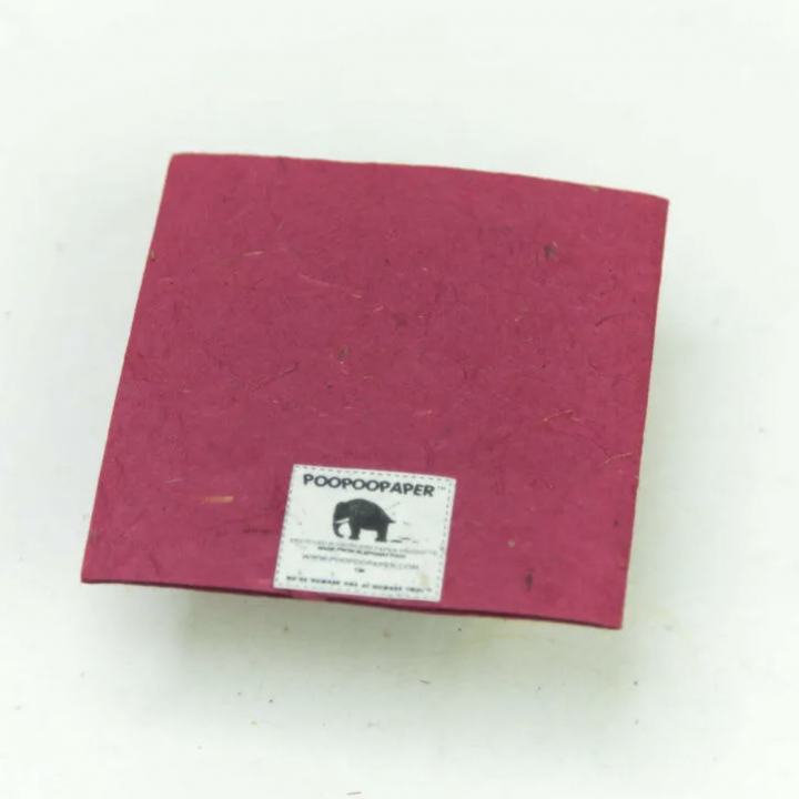 POOPOOPAPER グリーティングカード 