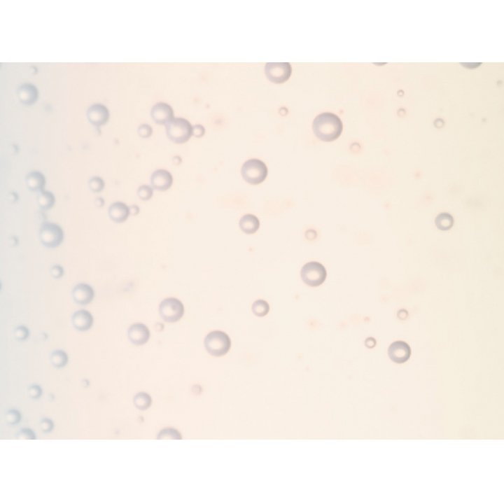 MEM エッセンスローション